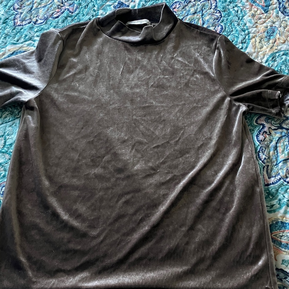 Zara Metallic  Short Sleeve Top
